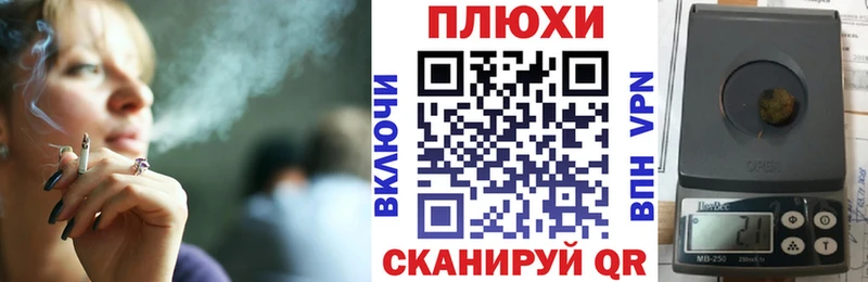 ГАШ Premium  Невель 