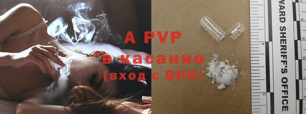 шишки Баксан